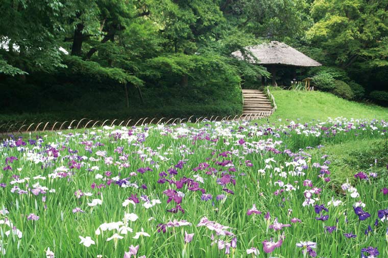 迎賓館赤坂離宮 本館内部見学と初夏の名園めぐり
