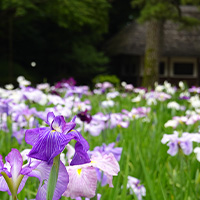 小石川後楽園