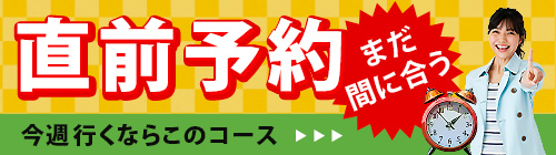 はとバスツアー直前予約